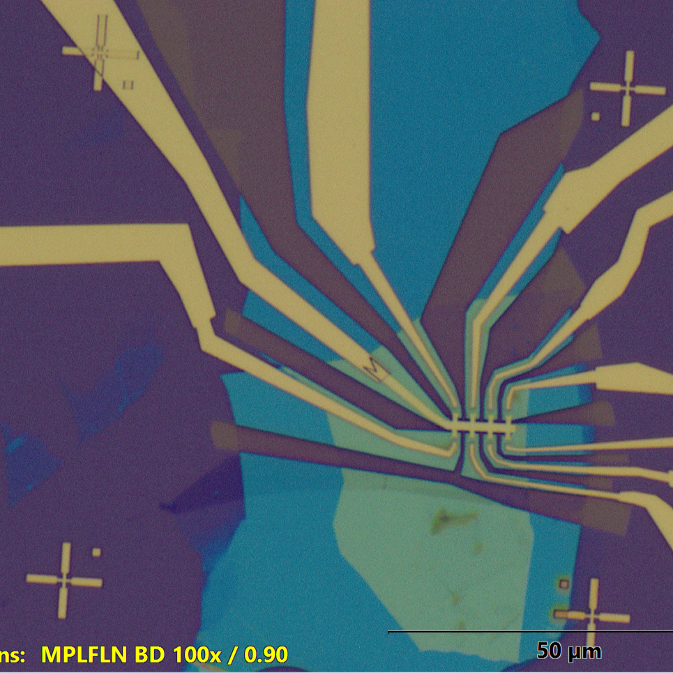 project image alt text